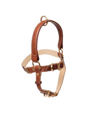 Handle Harness