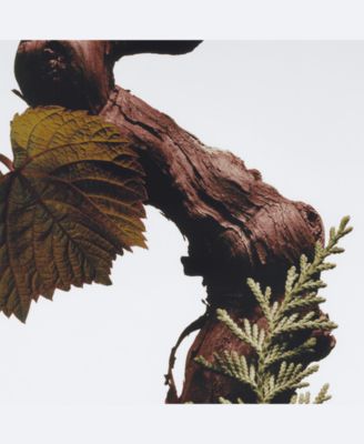 Cypress & Grapevine Classic Candle, 7 oz.