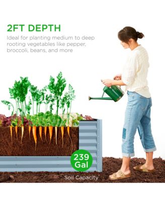 8x2x2ft Outdoor Metal Raised Garden Bed, Planter Box for Vegetables, Flowers, Herbs