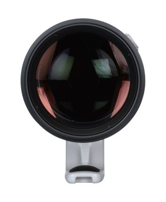 EF 200-400mm f/4L IS USM Extender 1.4x Lens