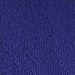 Clematis Blue
