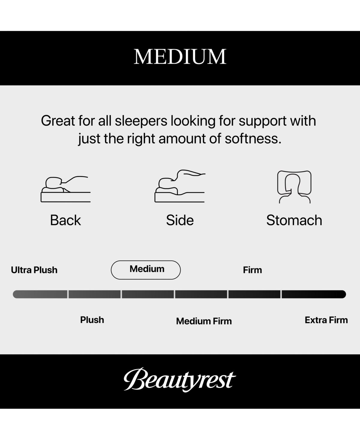Beautyrest Pampered Nights 13.75" Medium Pillow-top Mattress