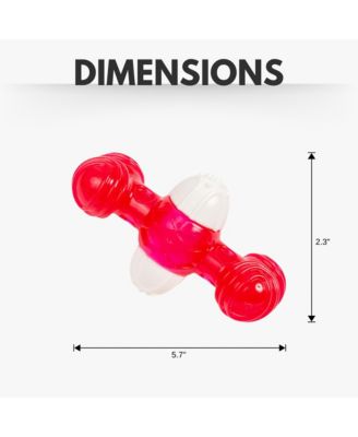 Quacker Bone Dog Chew Toy - Durable TPR and Nylon Blend for Aggressive Chewers