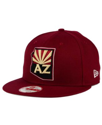 arizona coyotes new era hat