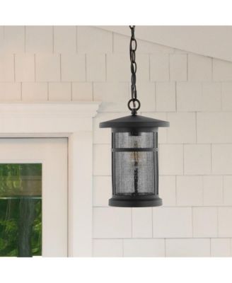 Osprey 8" Outdoor Pendant