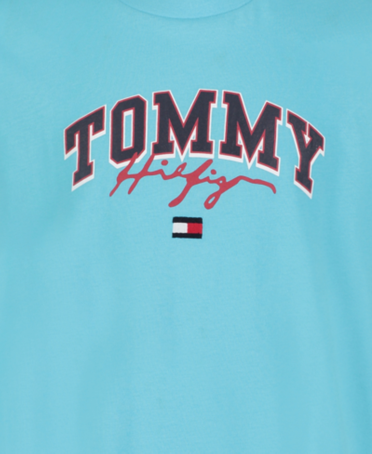 Tommy Hilfiger Big Boys Ivy Center Short Sleeve T-shirt