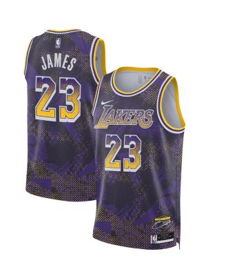 Nike - Men's and Women's&nbsp;LeBron James Purple Los Angeles Lakers 2025 Select Series Swingman Player Jersey