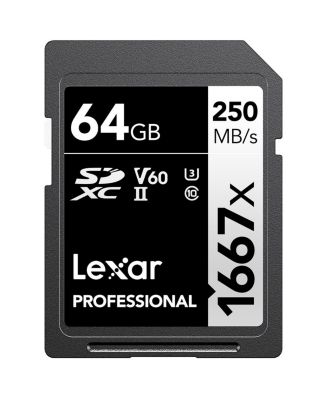 LUMIX S9 Mirrorless Camera, Pink, Bundle with SILVER Series Professional 1667x 64GB UHS-II SDXC Memory Card, Alpine 120 Multi-Device