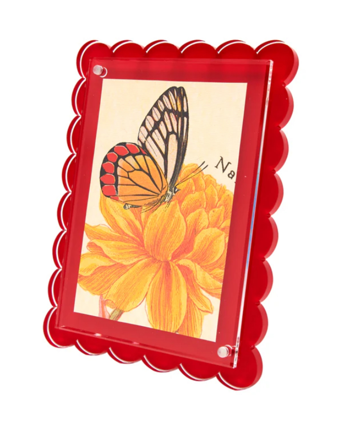 Tara Wilson Designs Scallop Frame, 4" X 6", 5" X 7"