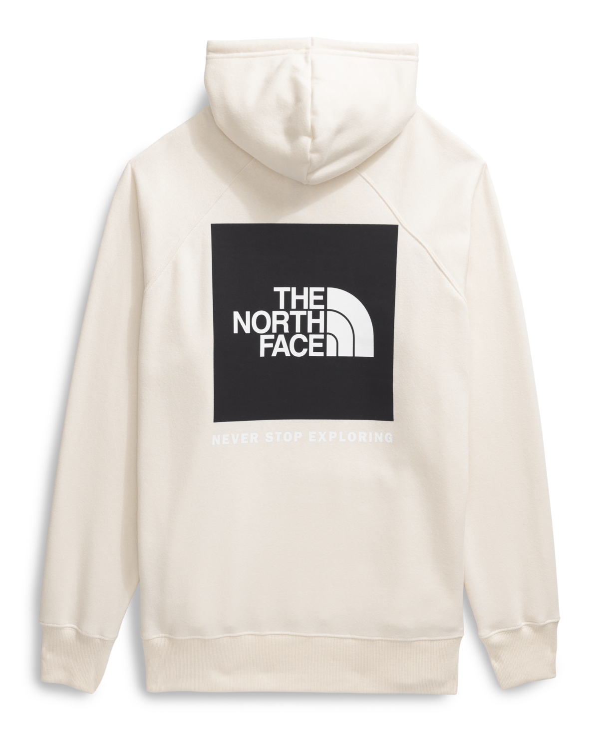 THE NORTH FACE PLUS SIZE BOX LONG-SLEEVE LOGO HOODIE 