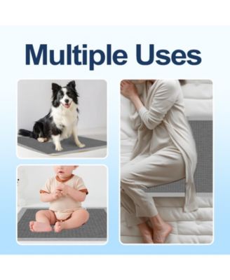All-Absorb Puppy Training Pads, Ultra Absorbent and Odor Eliminating, Leak-Proof 5-Layer Potty Training Pads with Quick-Dry Surface 22"x23 inch, 200ct