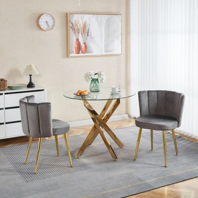 Streamdale Modern Velvet Dining Chair (Set of 2) with Golden Legs