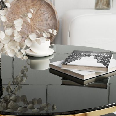 + Stainless Steel + Black Glass Top + Coffee Table