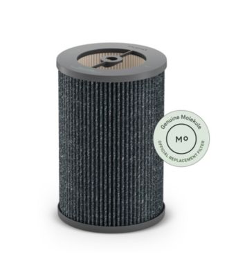Molekule