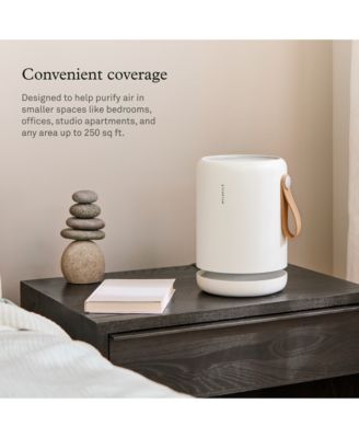 Air Mini + with PECO-HEPA Tri-Power Filter