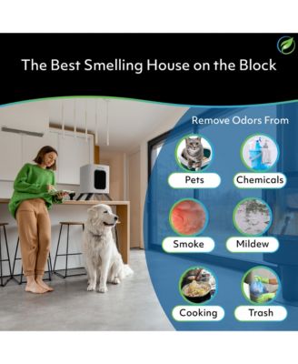 iAdaptAir 2.0 Small air purifier – 1,325 Sq Ft Coverage, 5-Stage HEPA, UV and Carbon Purifier, 177 CFM