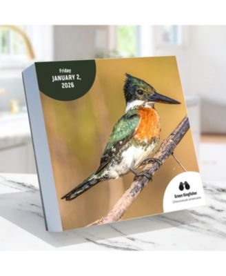 2026 Birds: Backyard & Beyond Daily Desktop Calendar