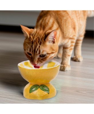 Lemon Shaped Stoneware Elevated Pet Bowl, Raised Ceramic Food & Water Dish for Dogs and Cats