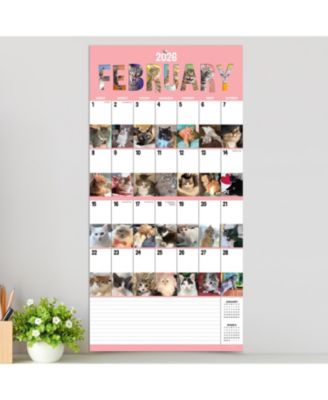 2026 Cat-A-Day Wall Calendar