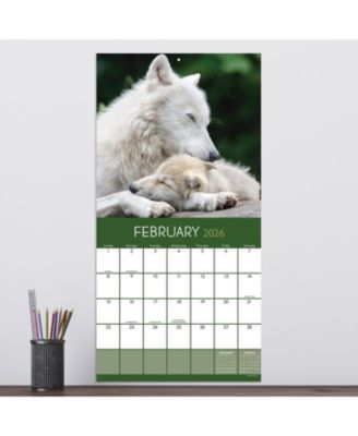 2026 Wolves Wall Calendar
