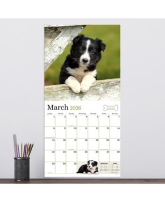 2026 Puppies Wall Calendar