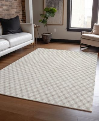 Chantille Machine Washable ACN1428 8'x10' Area Rug