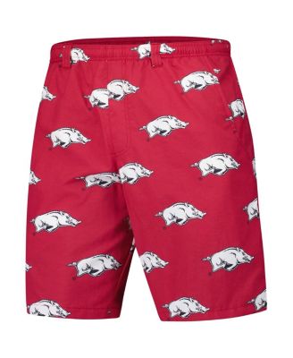 Men's Cardinal Arkansas Razorbacks PFG Backcast III Omni-Shade Shorts