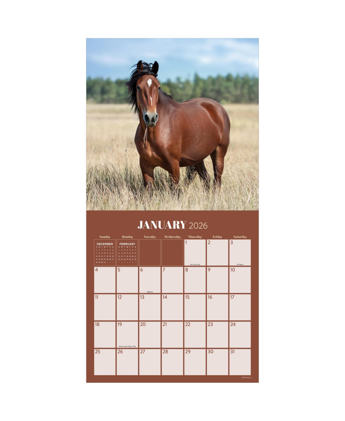 2026 Horses Wall Calendar - Multicolor
