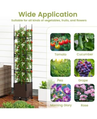 Raised Garden Bed with Plant Box Trellis and Lockable Wheels Adjustable Height