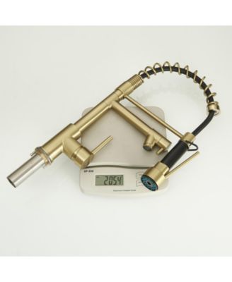 Contemporary Single Handle Pull-Down Spring Faucet with Sprayer and Deck Plate Commercial Kitchen Faucet