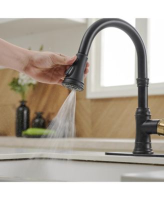 Single-Handle Pull-Down Sprayer 3 Spray High Arc Kitchen Faucet With Deck Plate