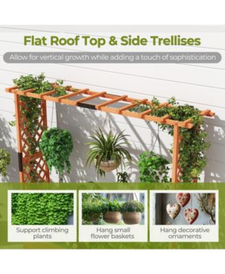 Raised Garden Bed with Arch Trellis and Hanging Roof