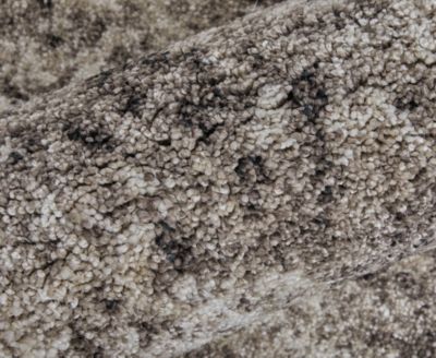 Skyview 39QCF 7'10"x10' Area Rug