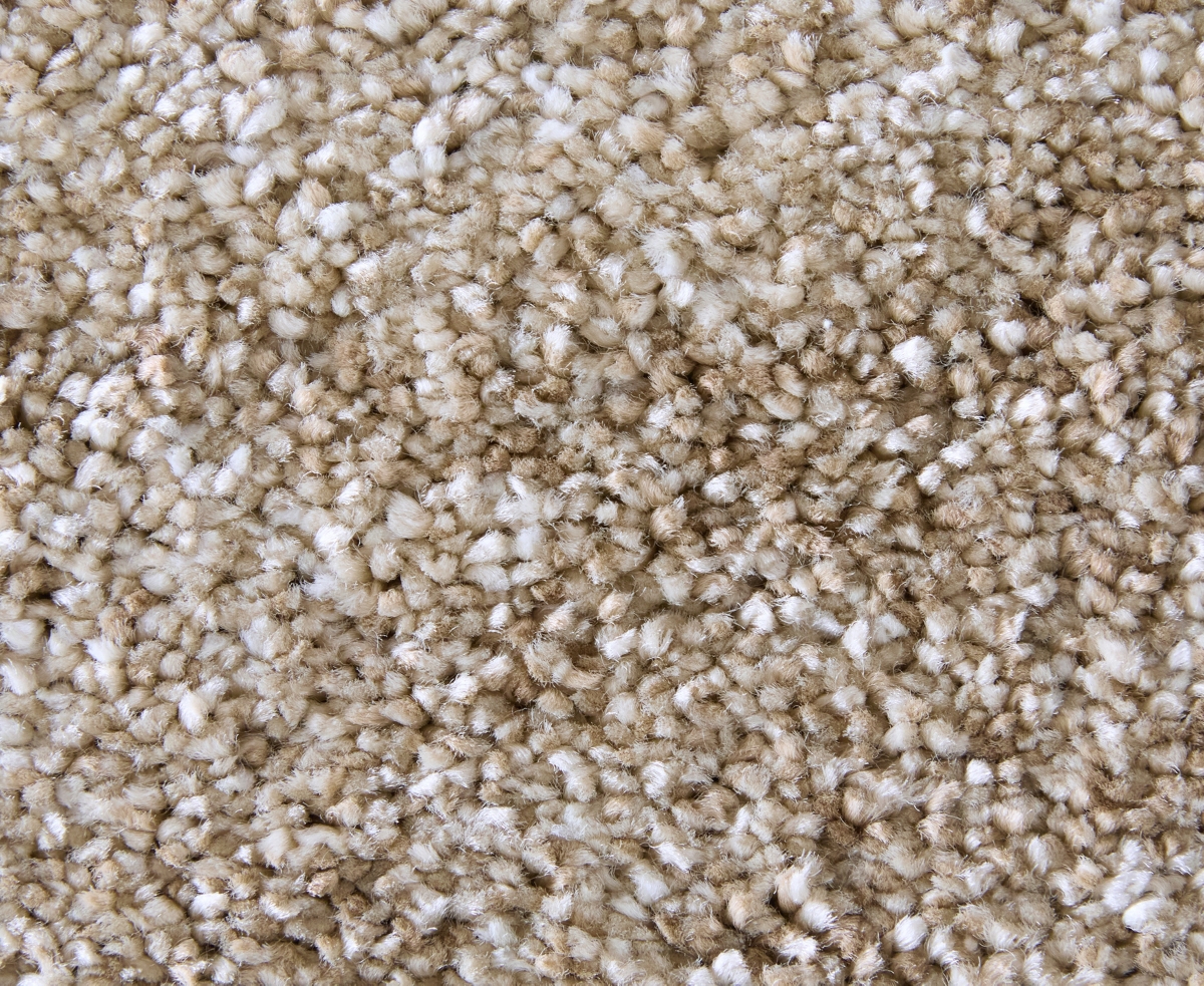 Feizy Jameson 39R8F 6'7"x9'6" Area Rug