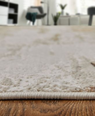 Aura 39LMF 3'11"x6' Area Rug