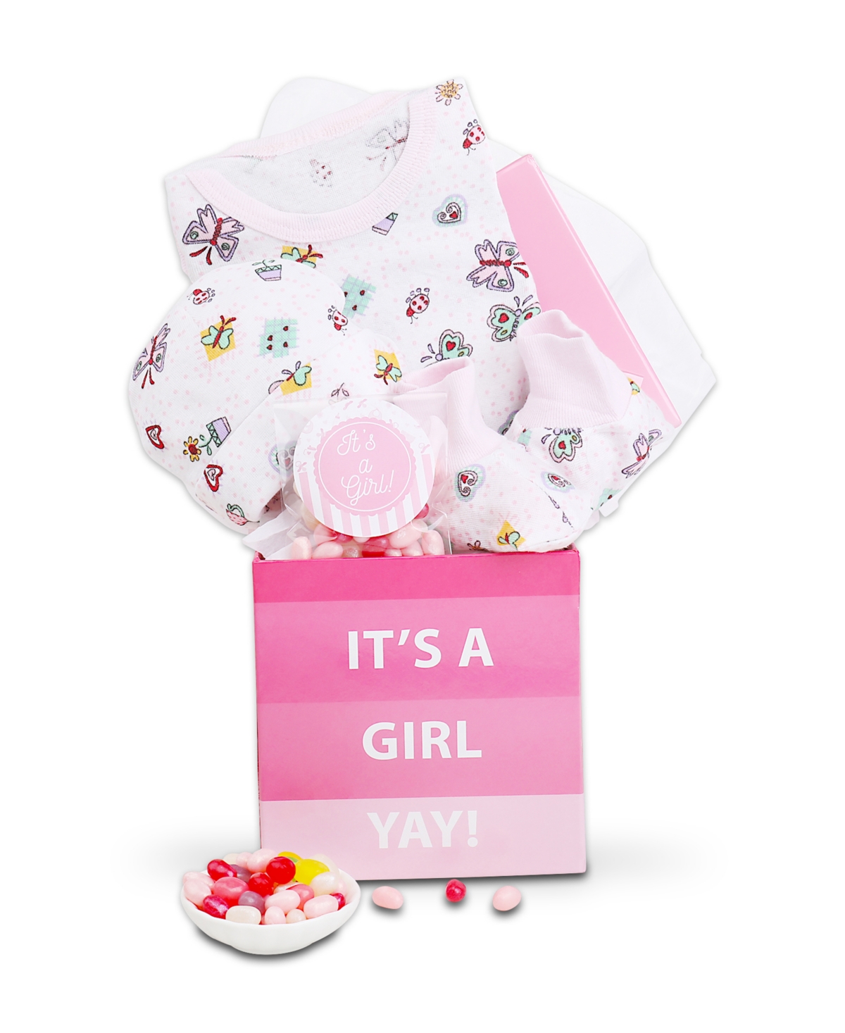 Alder Creek Gift Baskets It's a Girl Baby Gift Box, 4 Pieces