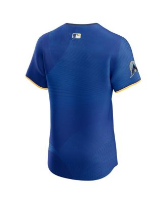 Men's Royal Minnesota Twins City Connect Elite Jersey