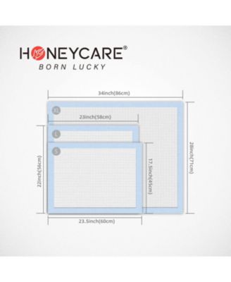 All-Absorb, Large  Dog and Puppy Training Pads, Ultra Absorbent and Odor Eliminating, Leak-Proof 5-Layer Potty Training Pads with Quick-Dry Surface, Blue 22" x 23 inch, 100ct