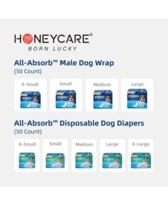 All-Absorb, XXL  Dog and Puppy Training Pads, Ultra Absorbent and Odor Eliminating, Leak-Proof 5-Layer Potty Training Pads with Quick-Dry Surface, Blue 30 x36 inch, 60ct