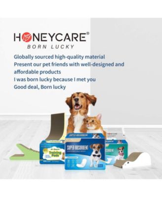 All-Absorb Disposable Female Dog Diapers, Super Absorbent, Breathable, Wetness Indicator, Large, 18-27 inches, 72ct