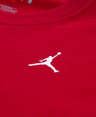 Toddler and Little Boys Jumpman Global Rise Long Sleeve T-Shirt