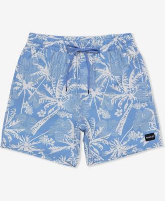 Men's Cannonball Volley Boardshorts