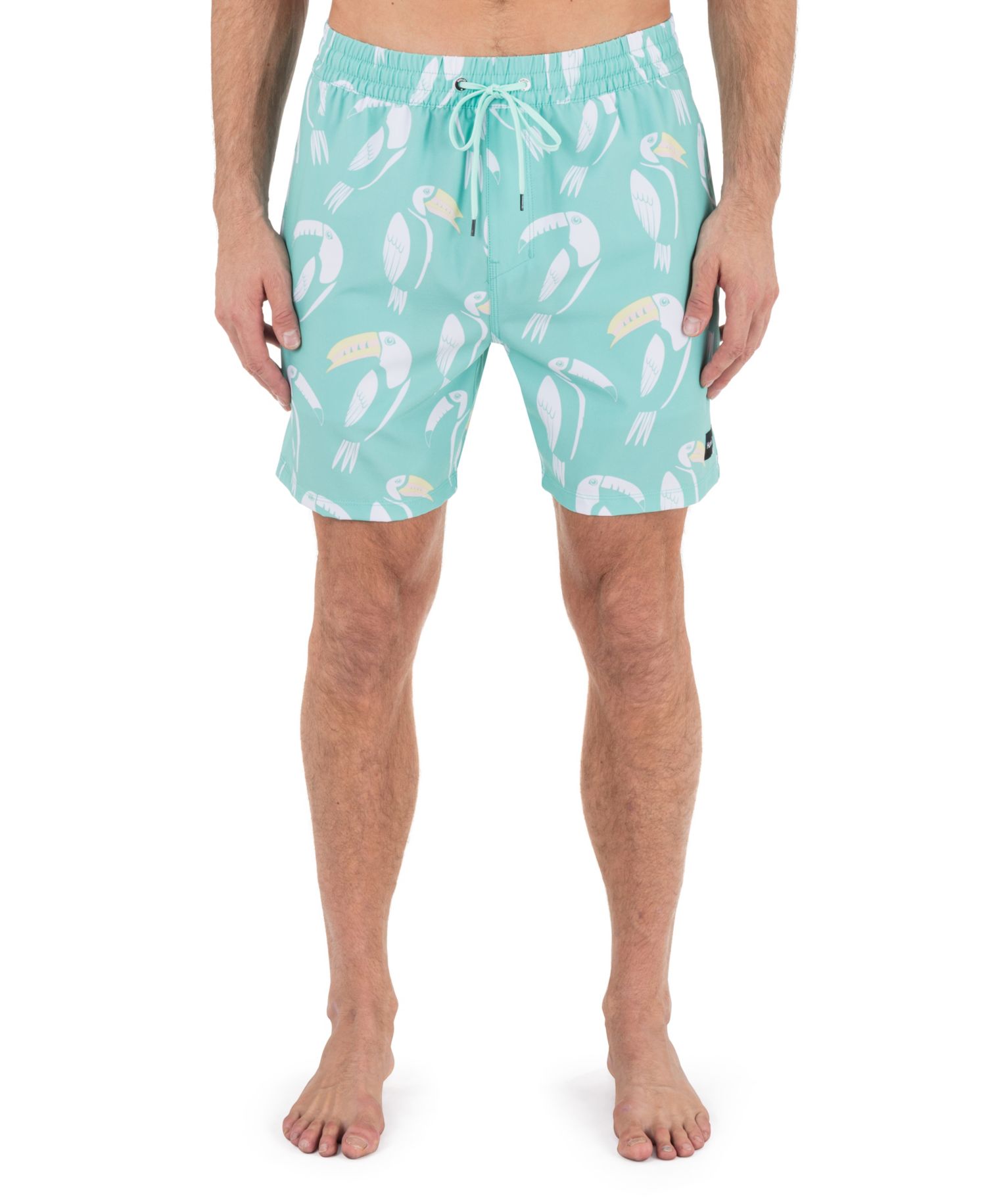 Men's Cannonball Volley Boardshorts