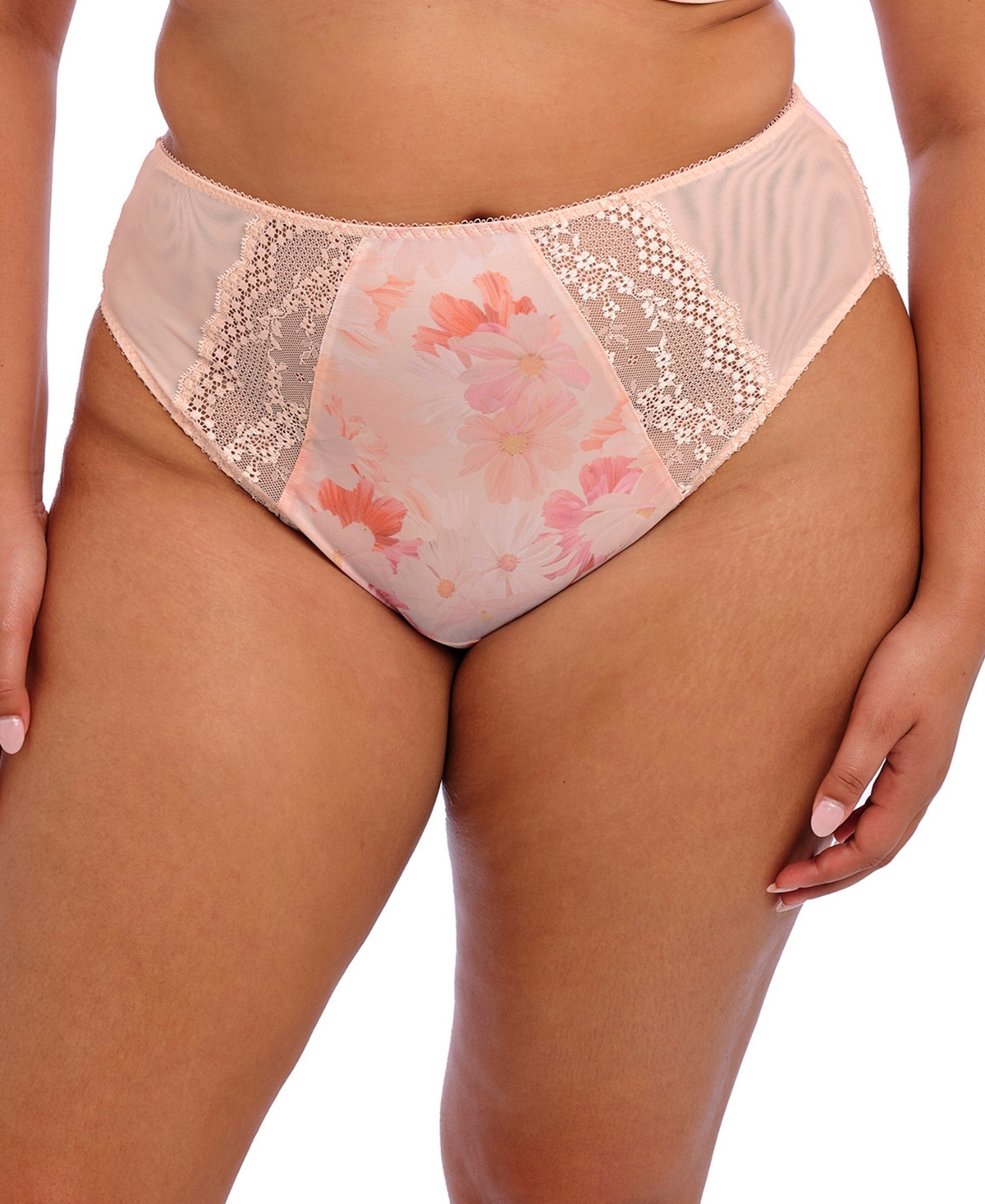 Plus Size Lucie High Leg Brief Underwear - Cosmos