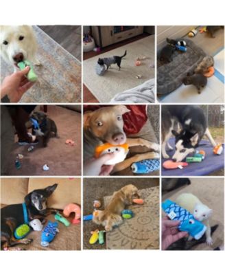 10 PCS Sushi Toys with Takeout Bag,Plush Squeaky Dog Toy Set,Cute Stuffed Pet Toys,Puppy Chew Toys,For Small to Medium Dog,Foodie Series toy