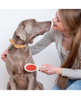 2-in-1 Dog Grooming and Deshedding Brush for Small and Large Dogs
