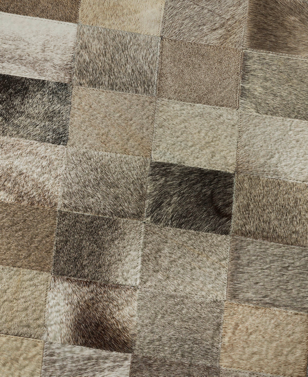 Dalyn Bozeman Washable BM2 8'x10' Area Rug