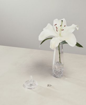 Lismore Essence Bud 9.5" Vase