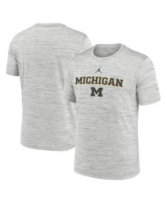Jordan - Men's Gray Michigan Wolverines 2025 Sideline Velocity Performance T-Shirt