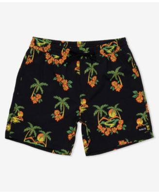 Men's Cannonball Volley 17 Boardshorts